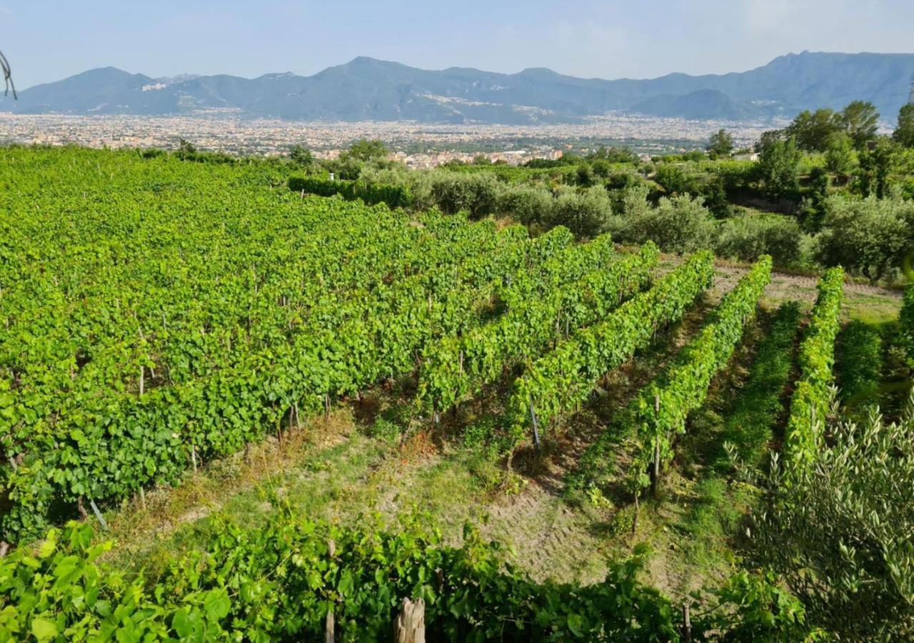 Boscotrecase Vesuvio Inn Bed & Wine Experience מראה חיצוני תמונה