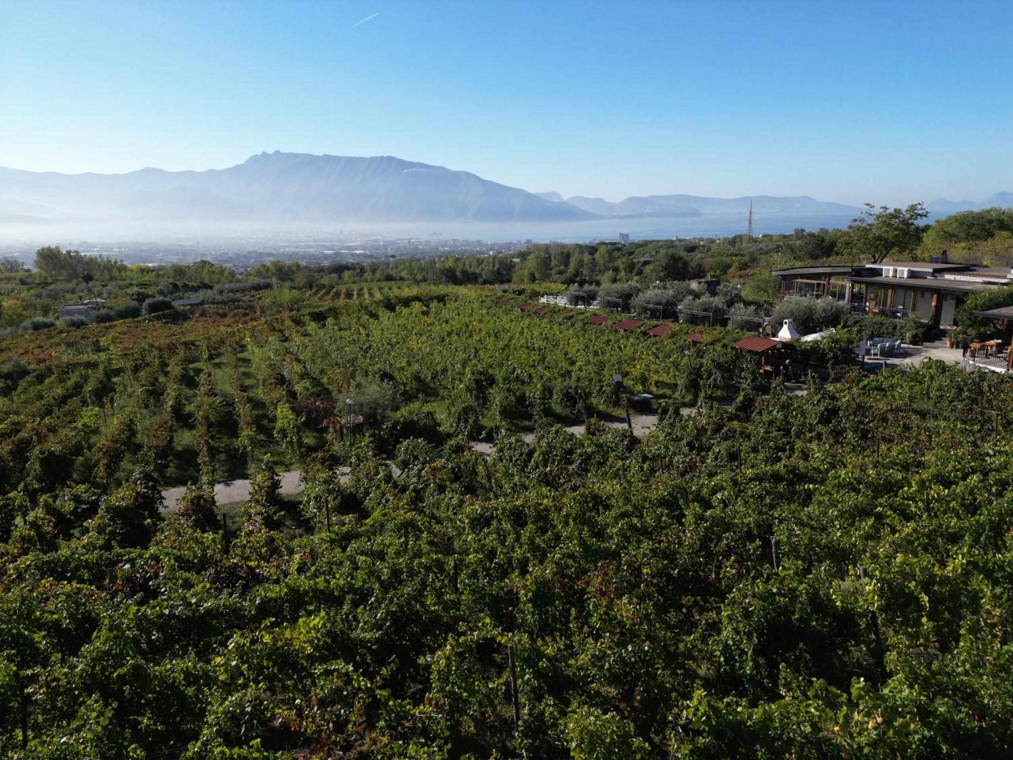 Boscotrecase Vesuvio Inn Bed & Wine Experience מראה חיצוני תמונה