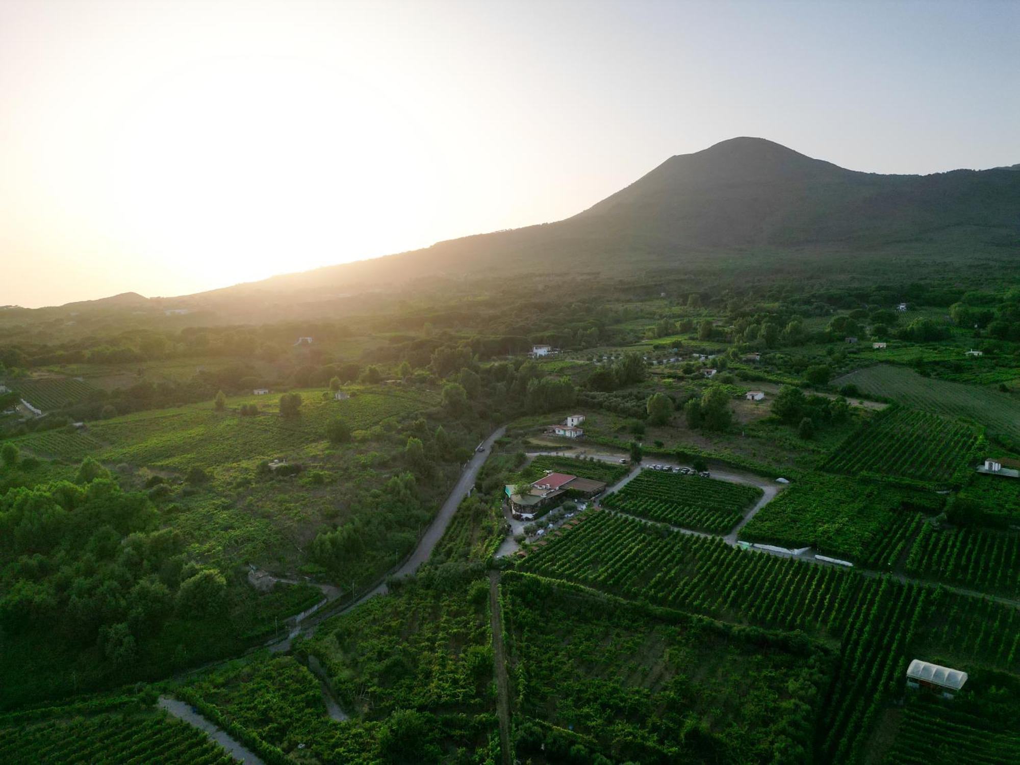 Boscotrecase Vesuvio Inn Bed & Wine Experience מראה חיצוני תמונה