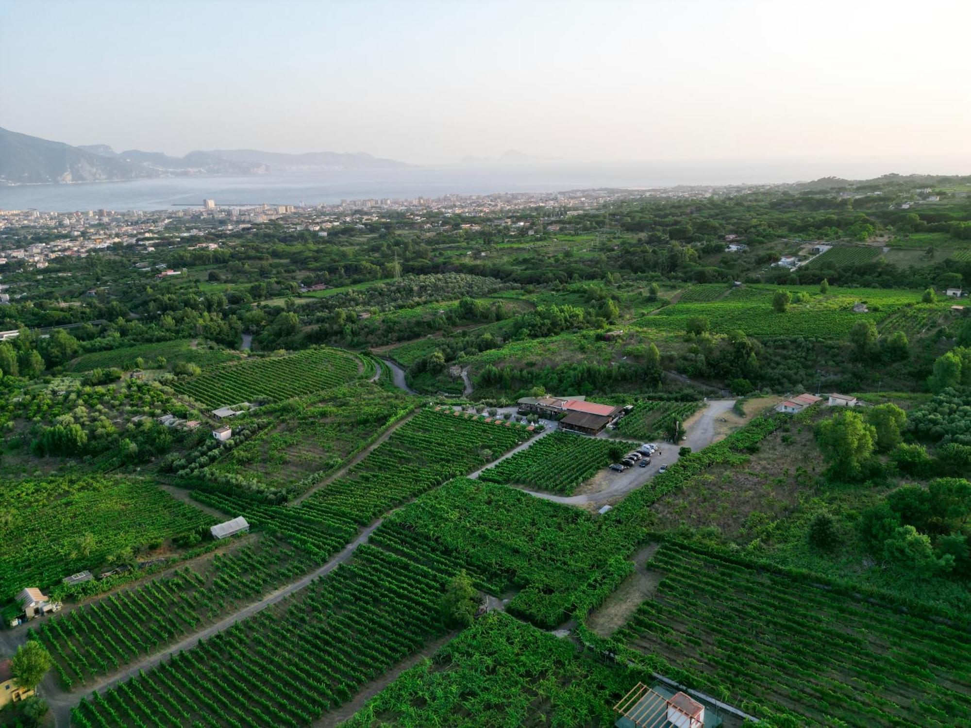 Boscotrecase Vesuvio Inn Bed & Wine Experience מראה חיצוני תמונה