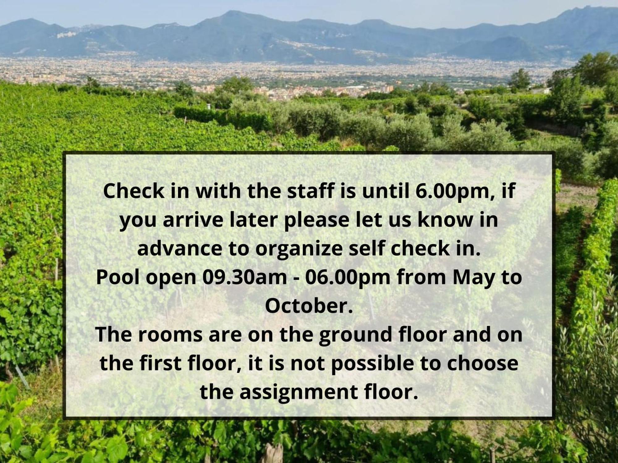 Boscotrecase Vesuvio Inn Bed & Wine Experience מראה חיצוני תמונה