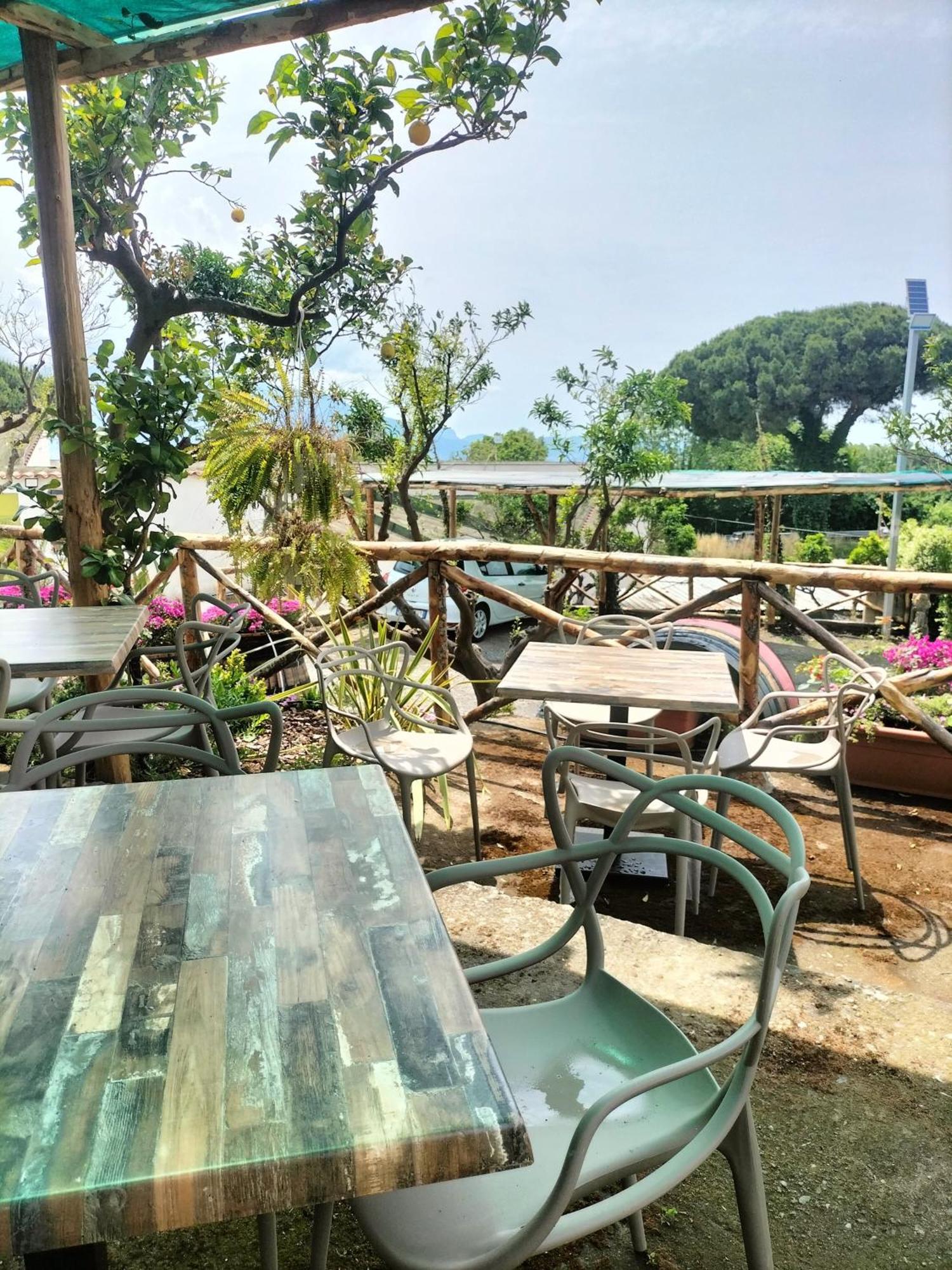 Boscotrecase Vesuvio Inn Bed & Wine Experience מראה חיצוני תמונה