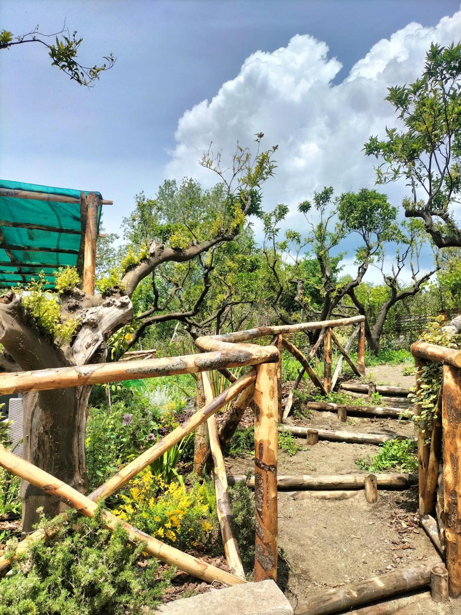 Boscotrecase Vesuvio Inn Bed & Wine Experience מראה חיצוני תמונה