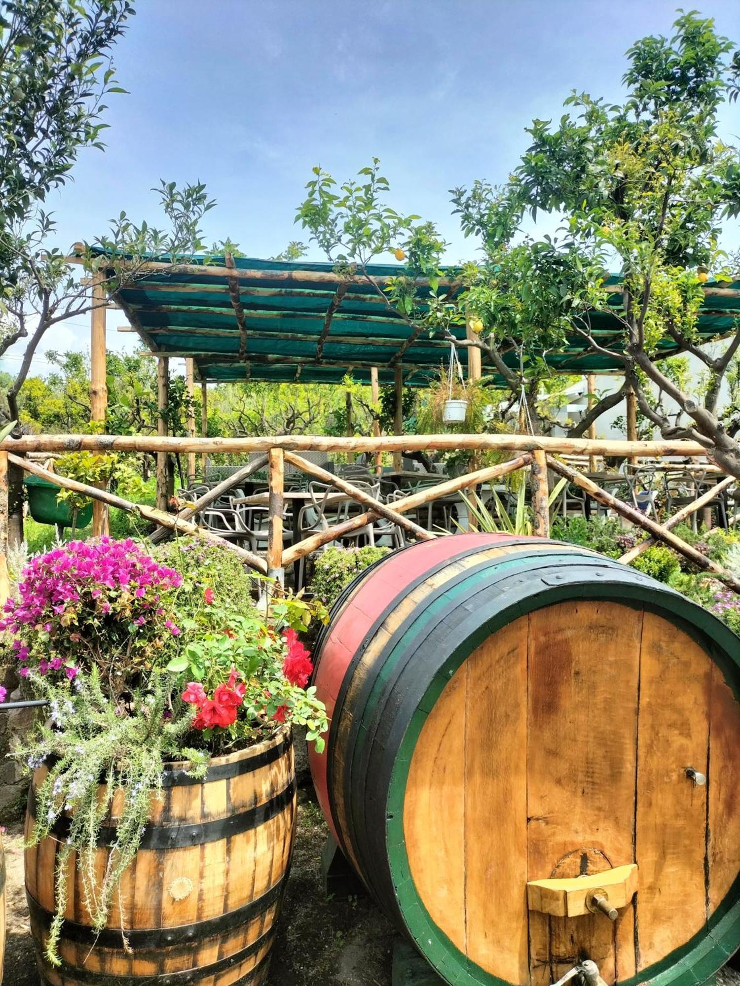 Boscotrecase Vesuvio Inn Bed & Wine Experience מראה חיצוני תמונה