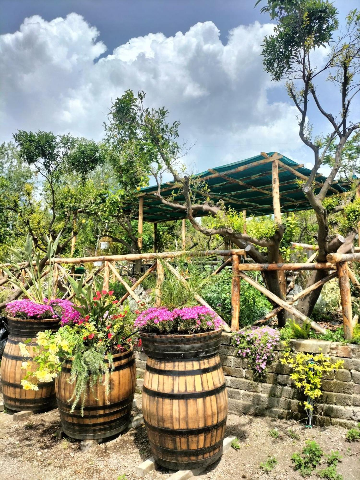 Boscotrecase Vesuvio Inn Bed & Wine Experience מראה חיצוני תמונה